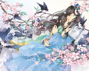 福建大菠萝导航官网
